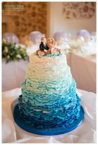 Bagden Hall Wedding photography