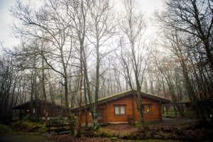 the lodges at chevin park