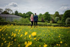engaged couple in halifax facing away in field of buttercups foreground out of focus