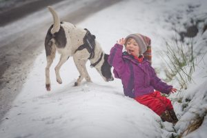 child and dog play in the snow
