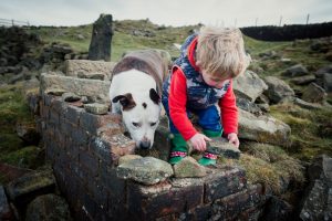 boy and dog busy making together