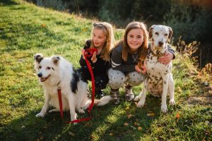 kids and dogs in the sunlight